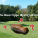 The Great Hippo Mystery of 2026